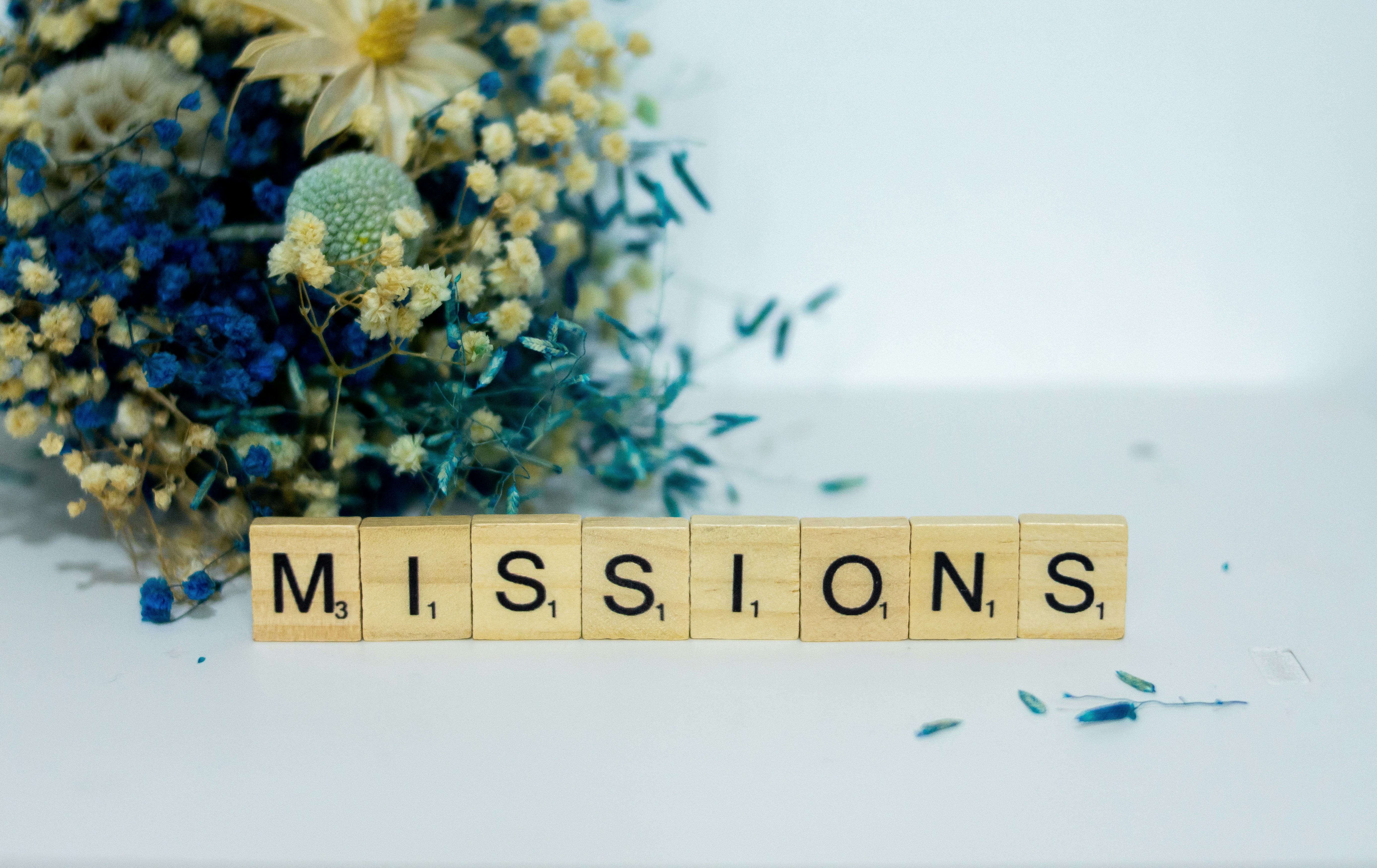 Mission - Sustainable Growth